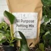 Elm Dirt All-Purpose Potting Mix -Rain Tree Nursery IMG 5165 1