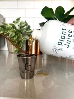 Elm Dirt Plant Juice -Rain Tree Nursery IMG 6513