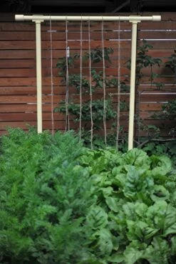 Freyr Trellis By Seattle Urban Farm Company -Rain Tree Nursery dandelion yellow gigapixel standard scale 6 00x cf02eff6 2c92 4e0d 8396 31d0d9480f7f