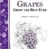 Great Grapes -Rain Tree Nursery httpraintreenursery.netps180