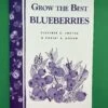 Grow The Best Blueberries -Rain Tree Nursery image 590a5192 6d87 44ea 935d 55ba56a62e2c 1