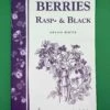 Berries/ Rasp & Black -Rain Tree Nursery image a6ef32cc b5e4 4ec3 8840 e53650b82ba5 1