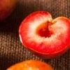 Dapple Dandy Pluot 1 Dapple Dandy Pluot -Rain Tree Nursery shutterstock 438407191