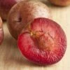 Combo Zee Sweet Pluot Tree (4 Varieties) -Rain Tree Nursery zee sweet pluot 1 1 1